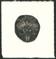 Ex Libris / Orchid & Girl
