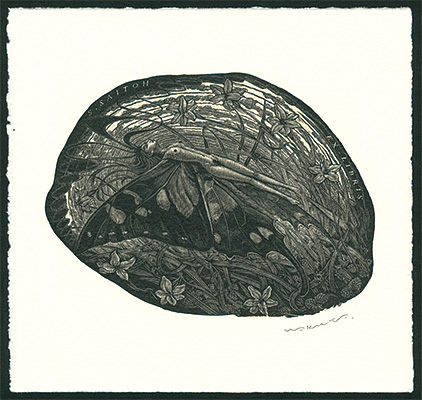 Wakuta Toshiyuki “Ex Libris / Swallowtail”