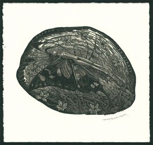 Ex Libris / Swallowtail