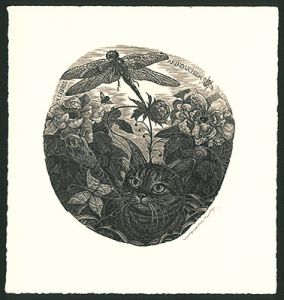 Ex Libris / Cat & Anax Parthenope 