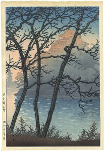 Morning at Okayama Castle