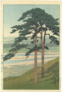 Ruins of Takiyama Castle