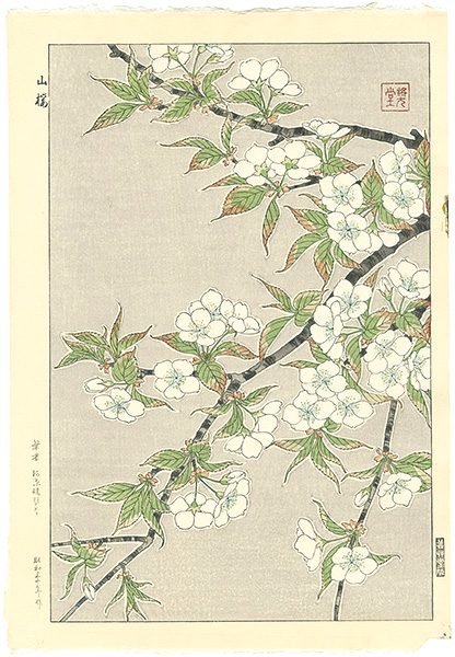 河原崎奨堂「山桜」