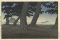 Collection of Scenic Views of ......