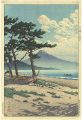 Pines at Miho Seashore