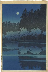 Spring Night at Inokashira Park 