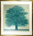 Big Tree