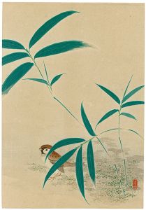 雀（仮題）