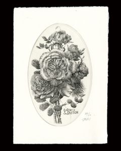 Dream of Roses