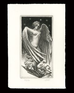 Angel of The Bibliophile