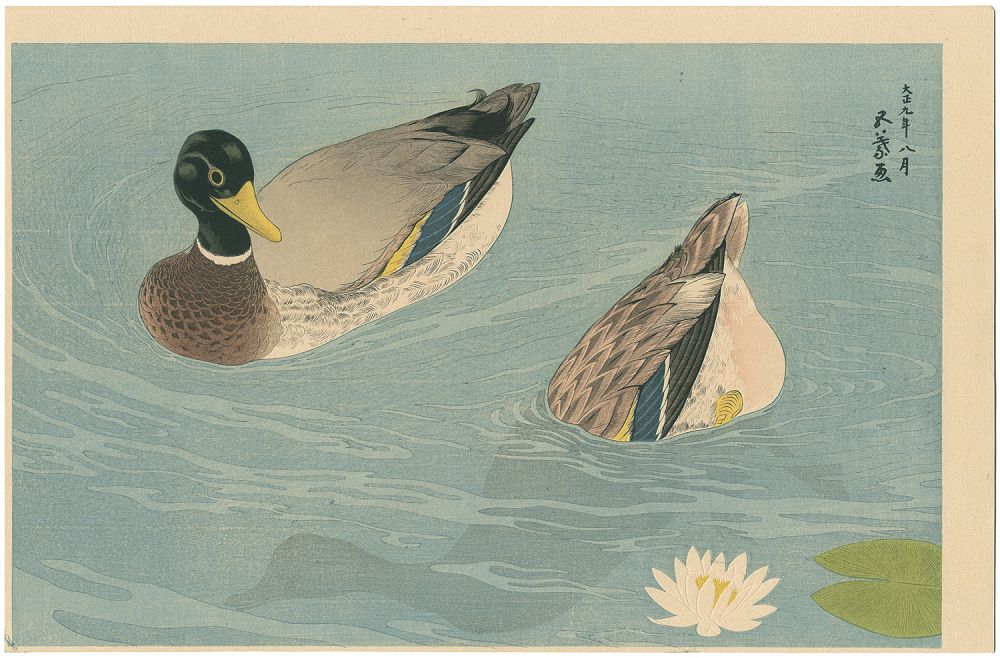 Hashiguchi Goyo “Ducks”