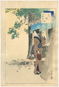 Toshikata / 36 Elegant Selections - Tea-house Waitress / Woman of around the Horeki Era	 [三十六佳撰　茶酌女　宝暦頃婦人]