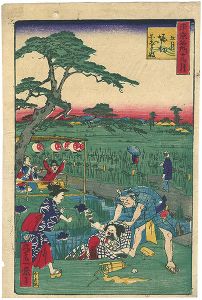 Ikkei / 東京名所十二ヶ月　五月　堀切園志ようぶ坂 [東京名所十二ヶ月　五月　堀切園志ようぶ坂]
