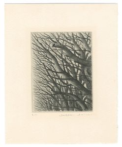 Kimura Shigeru / Art Work