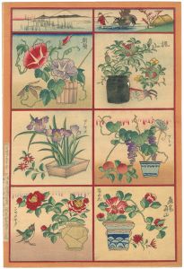 Unknown / 花尽くし（仮題） [花尽くし（仮題）]