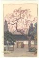 Cherry Blossoms by The Gate
