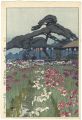 Twelve Scenes of Tokyo / The I......