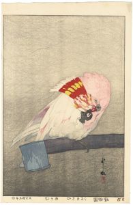 At the Zoological Garden / Major Mitchell's Cockatoo