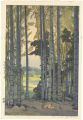 Bamboo Grove