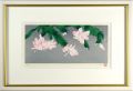 Christmas Cactus