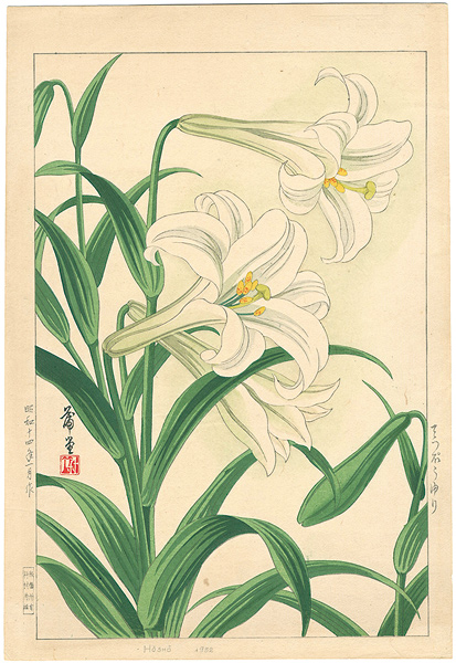 Nishimura Hodo “ Lily”