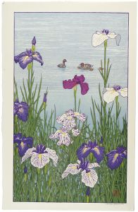 Yoshida Toshi / Color of Early Summer