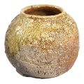 Shigaraki pot