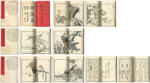 Bairei / 楳嶺百鳥画譜　天・地・人 [楳嶺百鳥画譜　天・地・人]