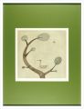 Arbre,oiseau et bateau