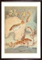 Fish of Japan / Vol.1 No.7 The......