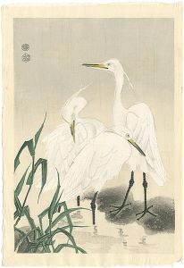 琴塚英一「白鷺（仮題）」
