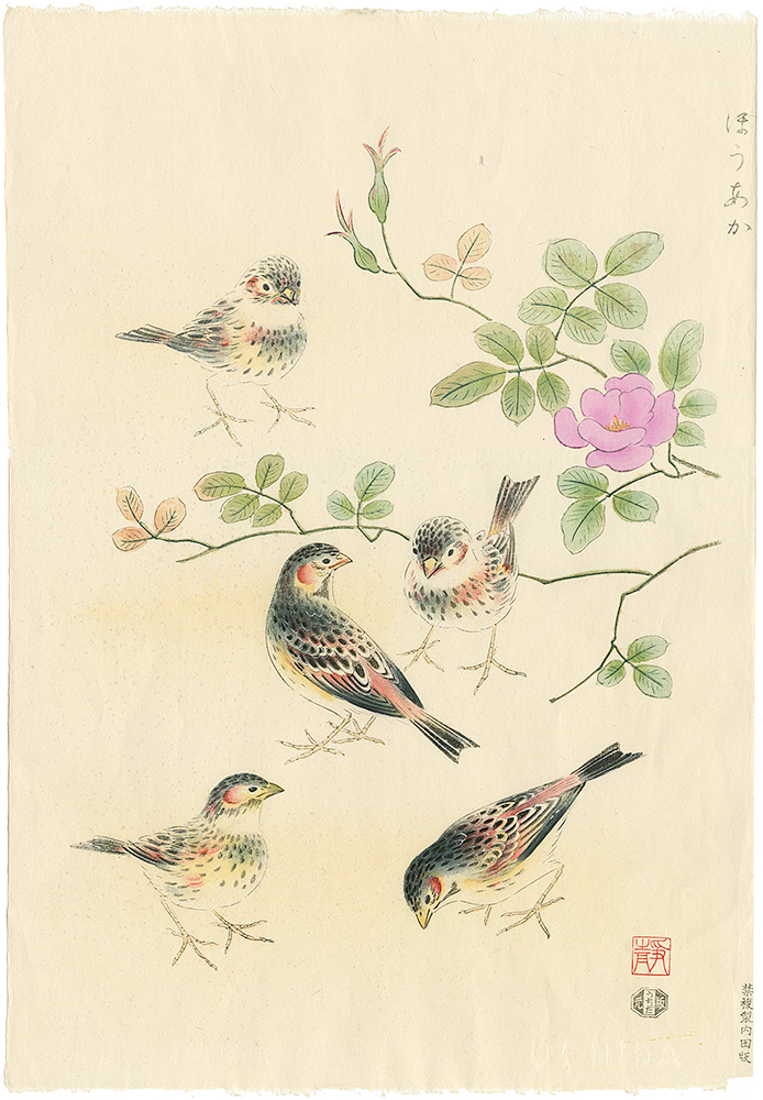 Ashikaga Shizuo “The Chestnut-eared bunting”