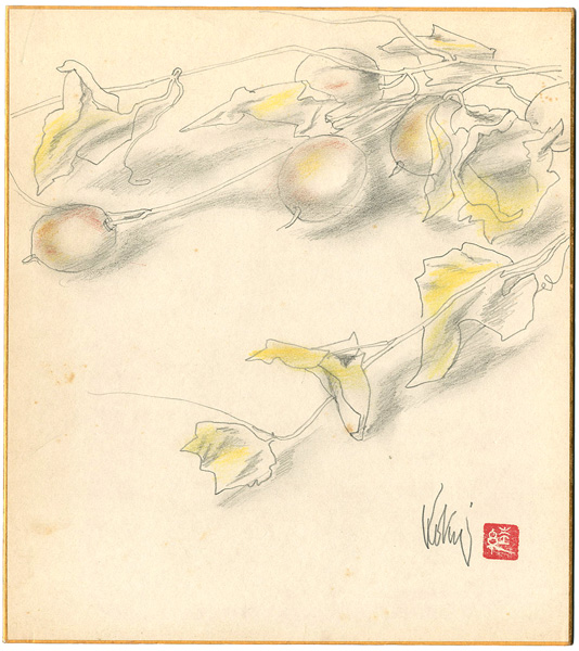 國領經郎「自筆画色紙　からすうり」