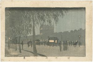 True Pictures of Famous Places of Tokyo / Night View of Sujikai Street