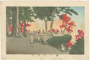 True Pictures of Famous Places of Tokyo / Autumn in Takinogawa