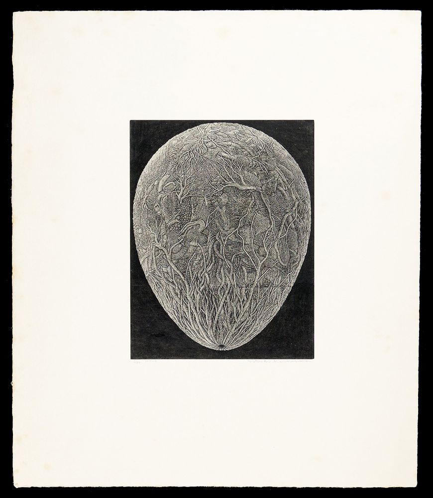 Karasawa Hitoshi “The Labyrinth”