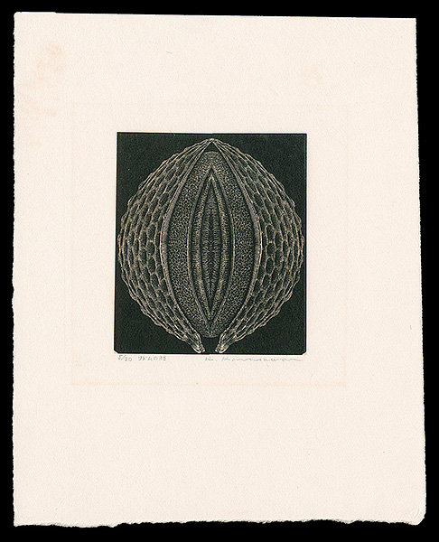 Karasawa Hitoshi “Embryo of Sodom”