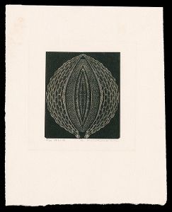Karasawa Hitoshi / Embryo of Sodom