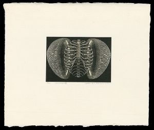 Karasawa Hitoshi / Epimethean pot
