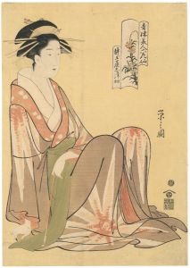 Eishi / 6 Immotal Flower Beauties of the  Green House / Shizuka of the Shizutamaya [青樓美人六花仙 静玉屋志津加]