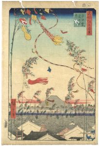 Hiroshige I / 100 Famous Views of Edo / The City Flourishing, Tanabata Festival  [名所江戸百景　市中繁栄七夕祭]
