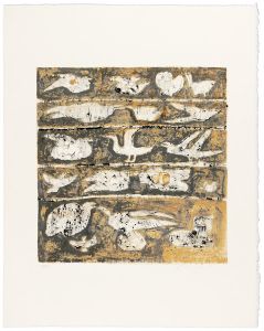 Wakita Kazu / Ancient Birds