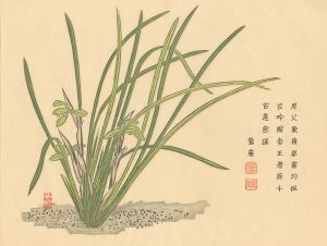 Maekawa Senpan / Orchid