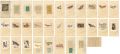 illustrated Book of Toy #1:  C......