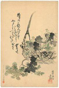 Beisen  / Japanese Turnip(tentative title) [蕪（仮題）]