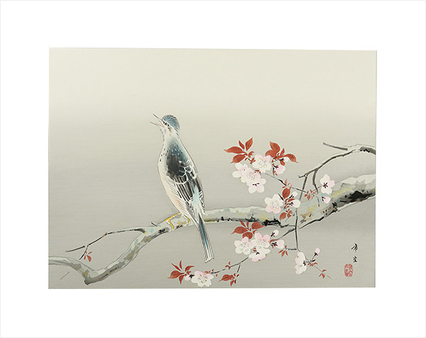Kodama Kibou “Spring sunny”