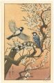 Flying Around the Plum Tree 