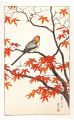 紅葉の安らぎ
