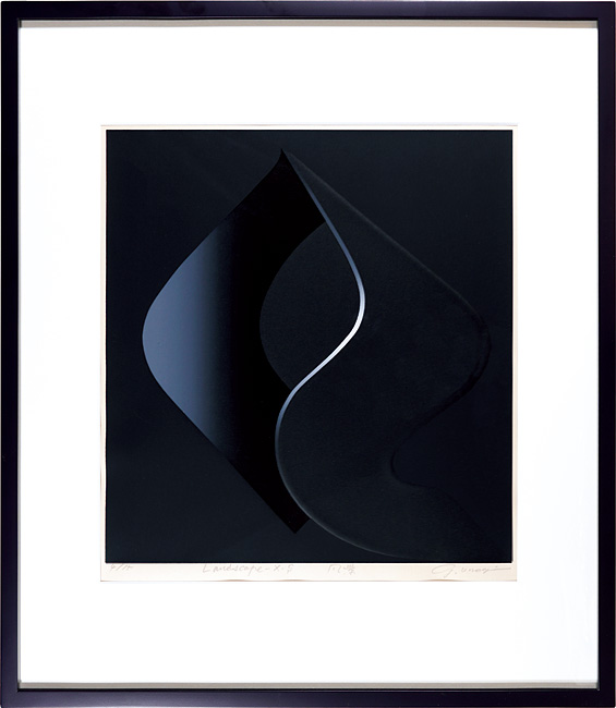 Onogi Gaku “Landscape X.S”
