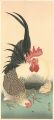 Rooster and Hen